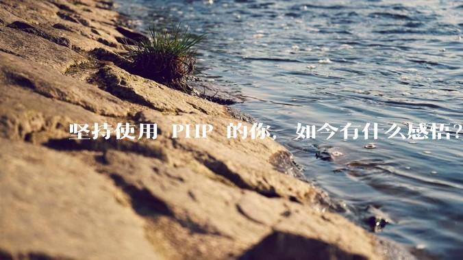 坚持使用 PHP 的你，如今有什么感悟？